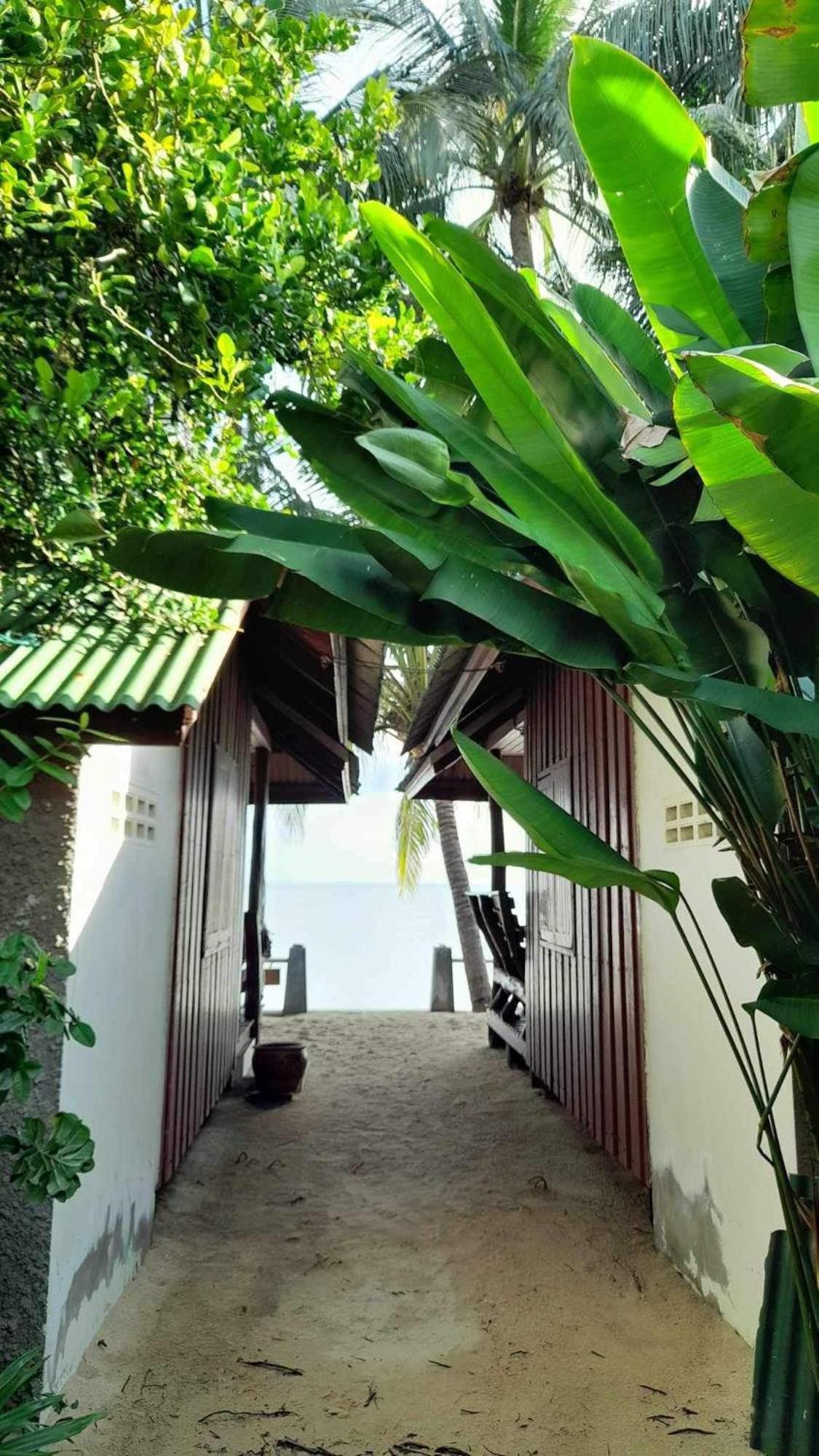 Beer'S House Bungalows เบียร์เฮ้าส์บังกะโล Ban Lamai Exterior foto